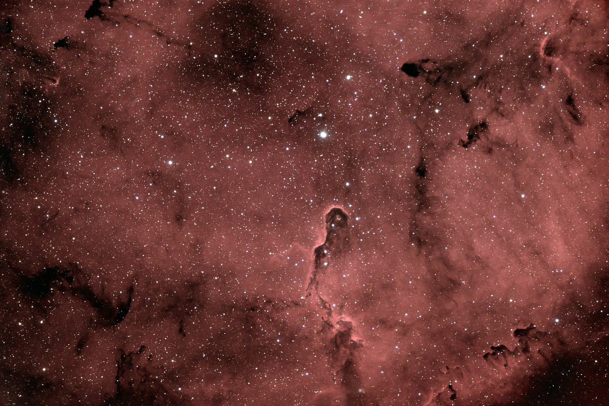 IC 1396 LA TROMPE D'ELEPHANT
