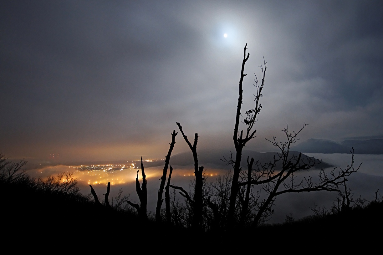 IMG 3471 DxO raw IMG 3471 DxO raw