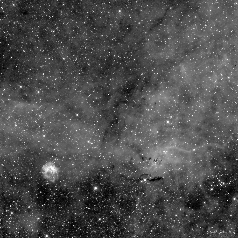 sh104_14x15_220509_home_spikesW.JPG