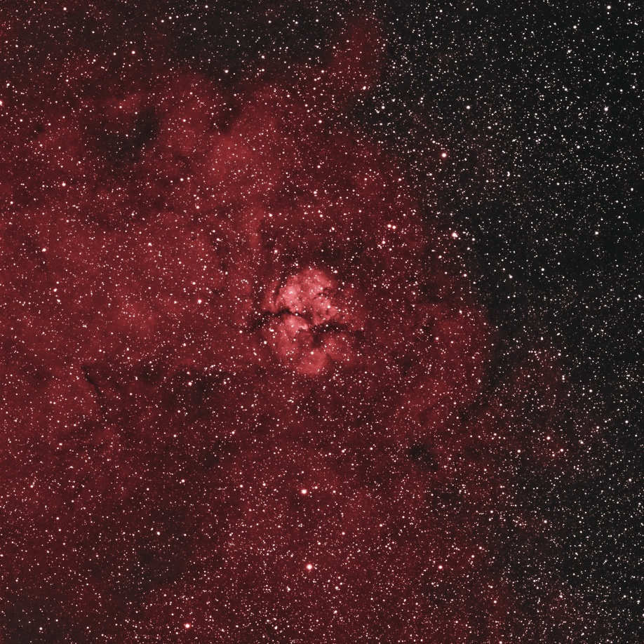 sh124_17x15_020609_home_rgb.jpg