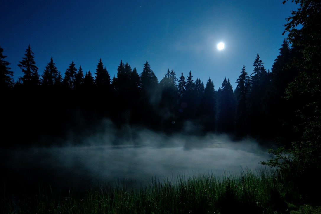 ETANG DE LA GRUERE Jura Suisse ETANG DE LA GRUERE Jura Suisse